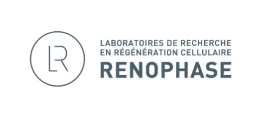 logo renophase